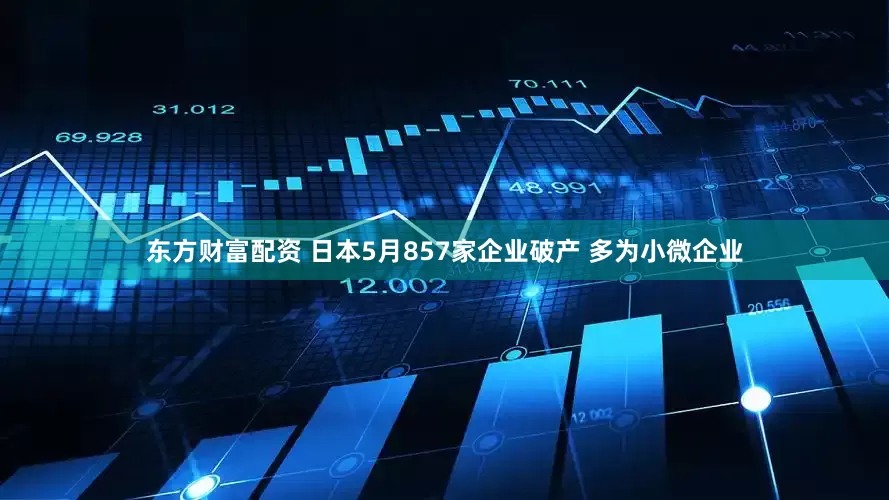 东方财富配资 日本5月857家企业破产 多为小微企业
