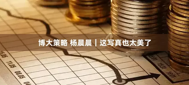 博大策略 杨晨晨｜这写真也太美了