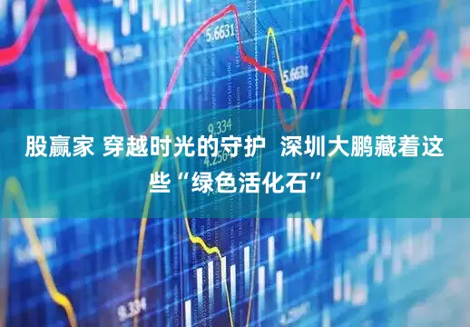 股赢家 穿越时光的守护  深圳大鹏藏着这些“绿色活化石”