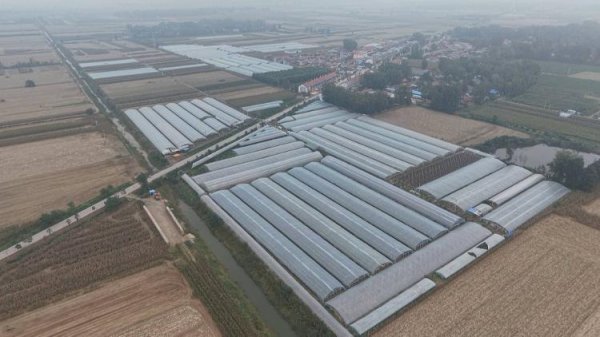 金来源 菏泽成武：从新农人到带头人乡村 “她力量”点亮振兴新图景