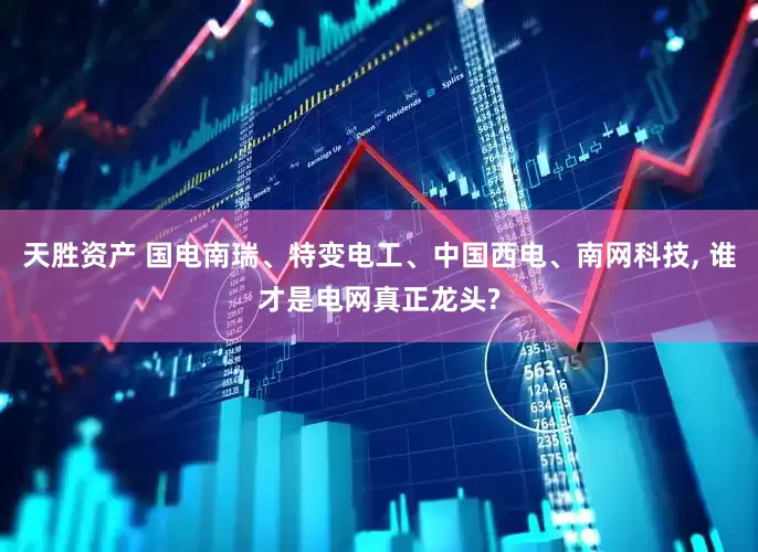 天胜资产 国电南瑞、特变电工、中国西电、南网科技, 谁才是电网真正龙头?